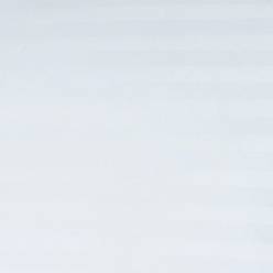 White White